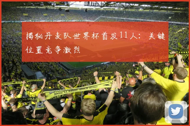 揭秘丹麦队世界杯首发11人：关键位置竞争激烈