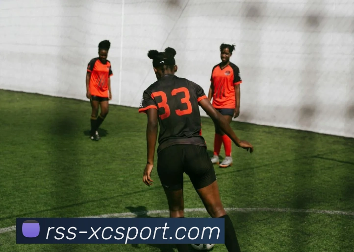 杏彩体育服务体系